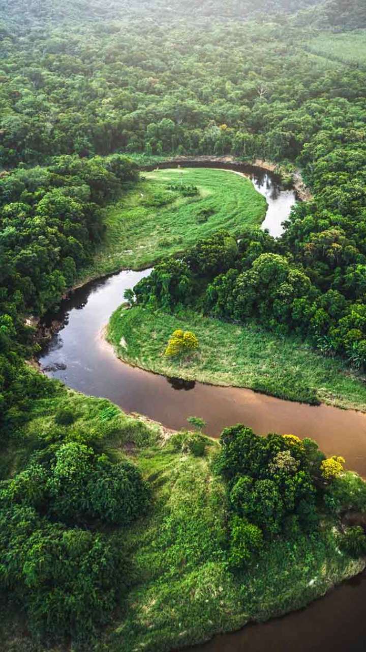 Amazon Rainforest