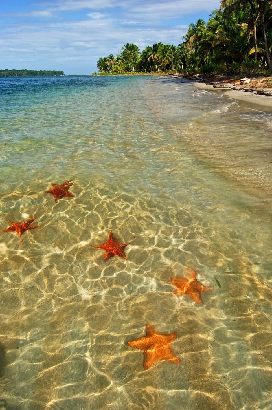 Bocas Del Toro