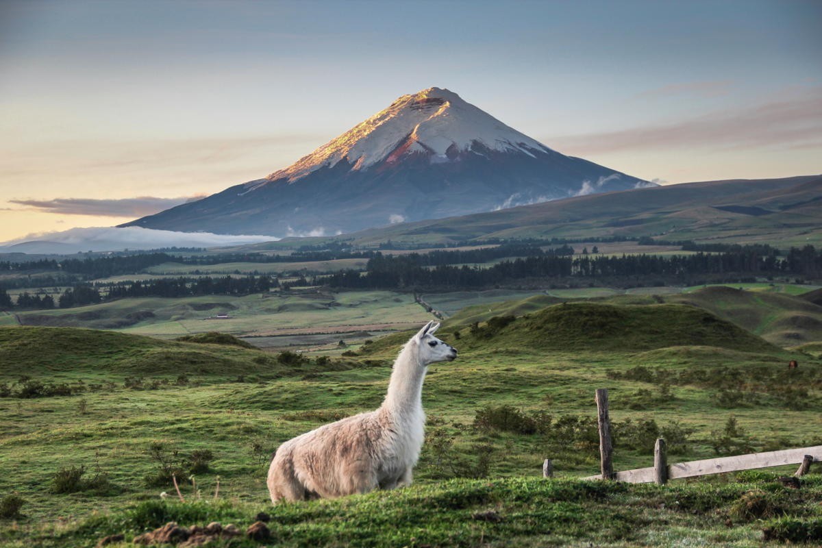 Ecuador Ecuador