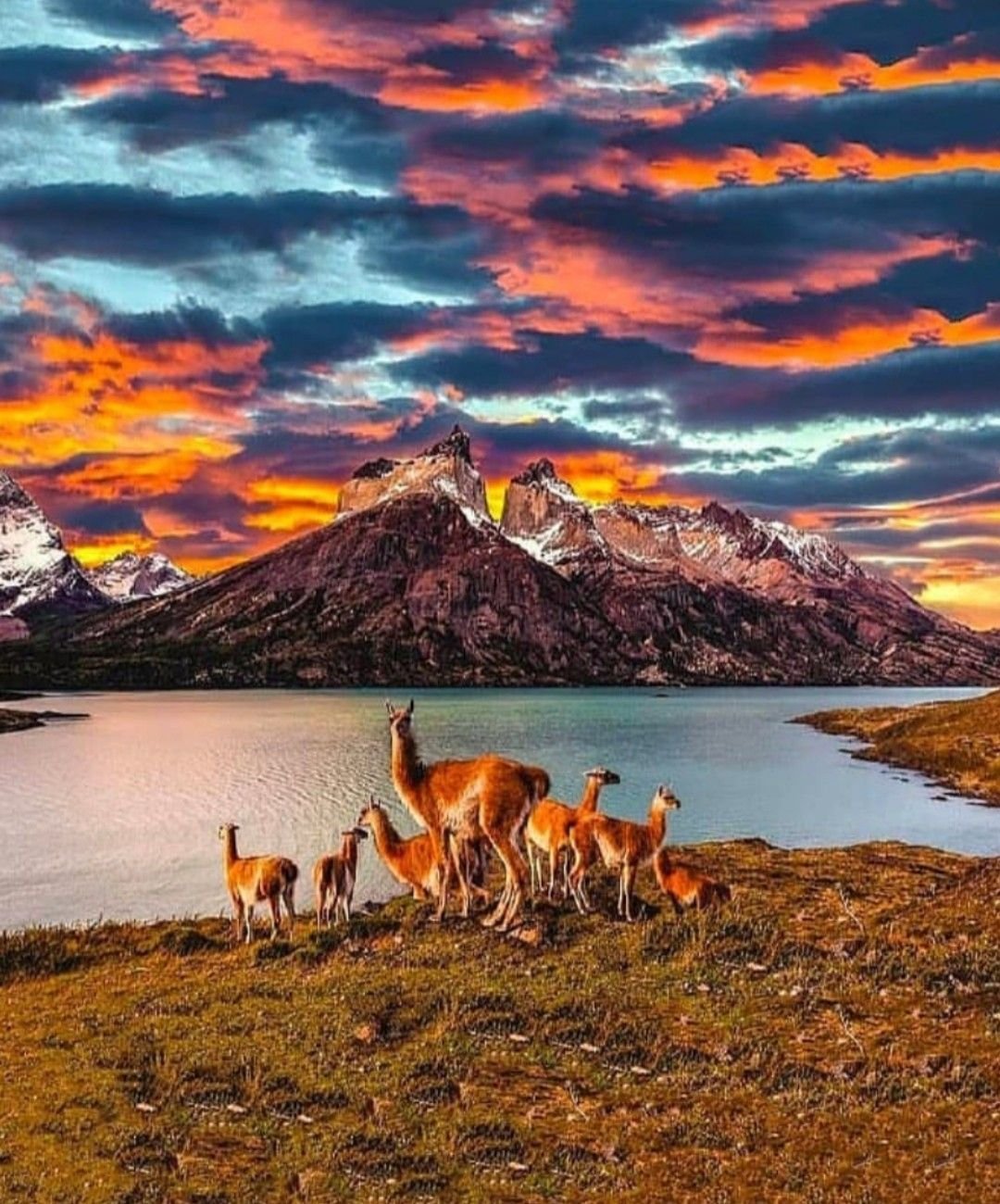 Torres Del Paine National Park
